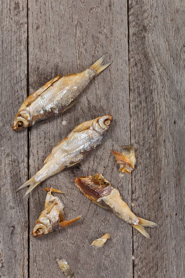 Dried salted fish stock image. Image of north, river 59103665