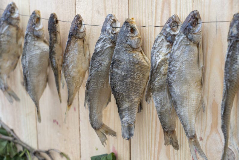 Dried salted fish hanging on a rope against wooden wall