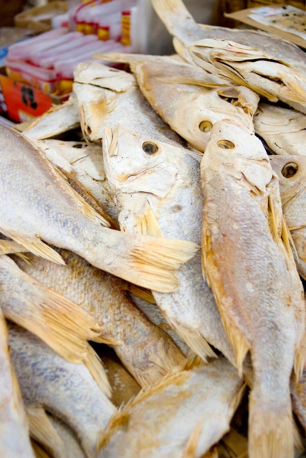 Dried Salted Fish Series 3 royalty free stock photo