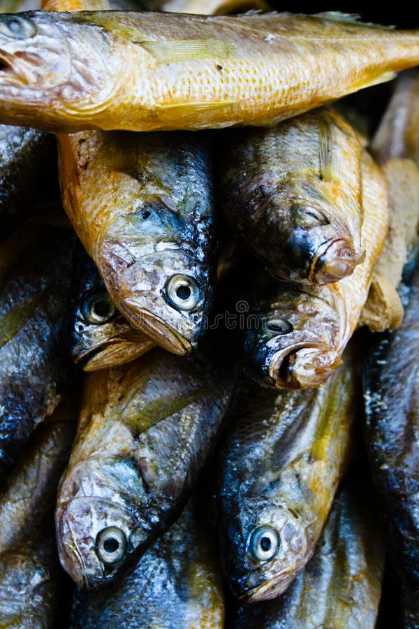 Dried Sardines stock photo. Image of korean, travel, market 22655098