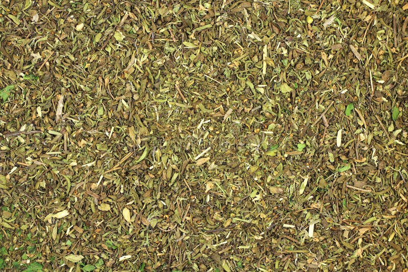 Dried Savory Leaves Background Stock Image Image of green, leaves