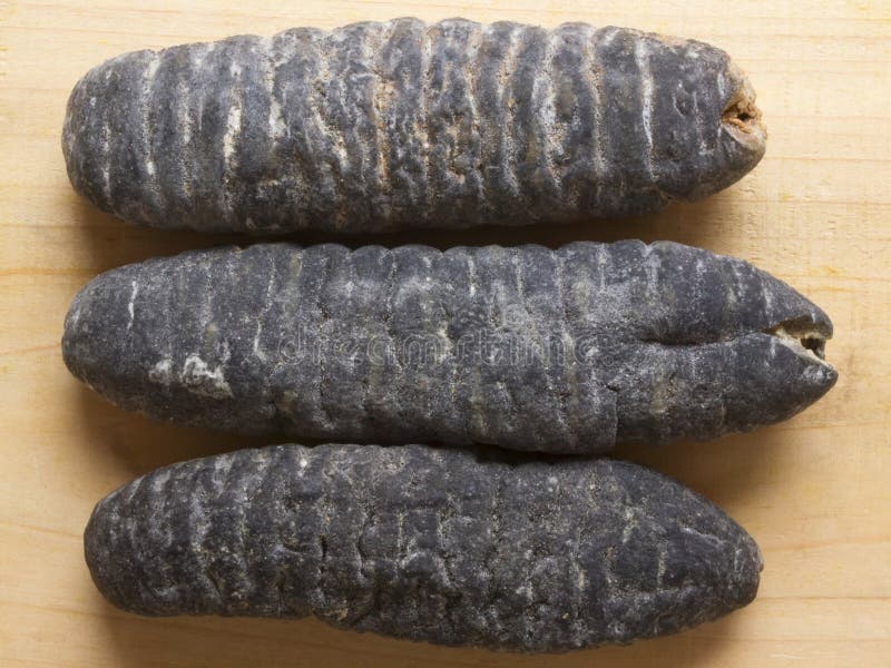 Dried sea cucumber stock image. Image of chinese, preserved 22601753