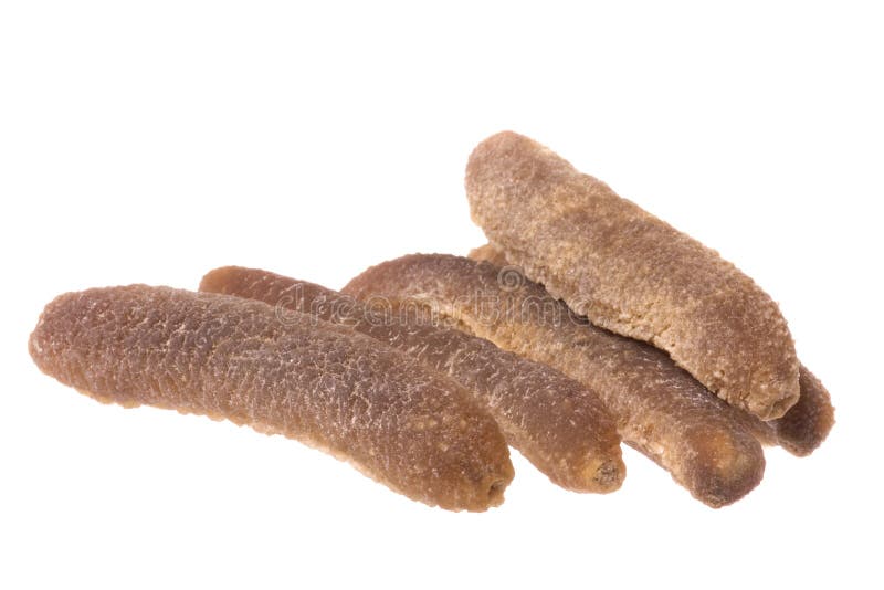 Dried Sea Cucumbers Isolated Stock Photo Image of nature, animals