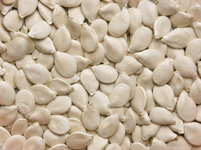 Dried Pumpkin Seeds In Square Container Stock Image Image of protein, natural 140233919