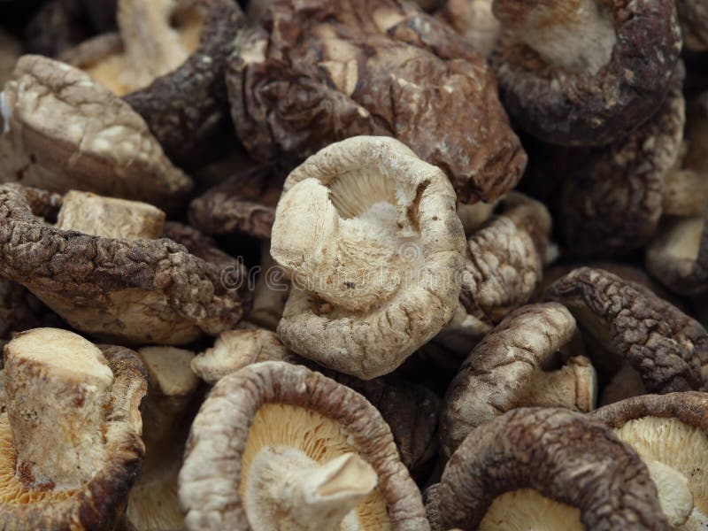 Dried Shiitake Mushrooms stock photo. Image of healthy 38944530