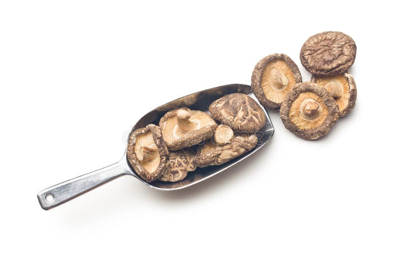 Dried shiitake mushrooms stock image. Image of dried 43627551
