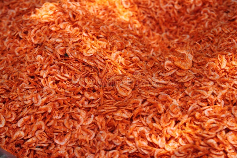 Dried shrimp stock photo. Image of animal, protein, asia 31589996