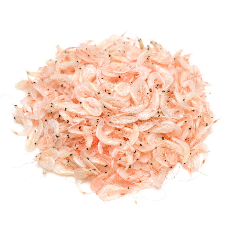 Dried shrimp stock photo. Image of contrast, asia, small 22142232