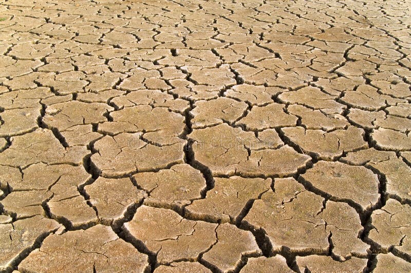 Dried Soil Stock Photos Image 2306143