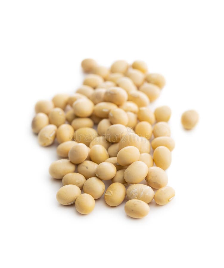 Dried soy beans stock photo. Image of cutout, healthy 201686594