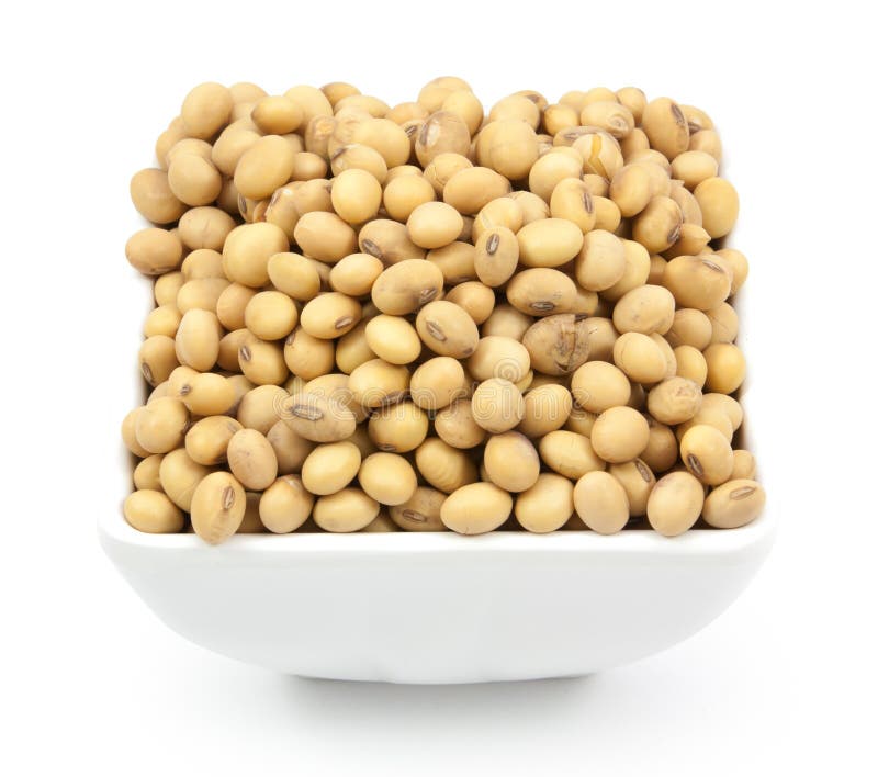 Dried soybean on cup stock image. Image of fiber, crop 56545867