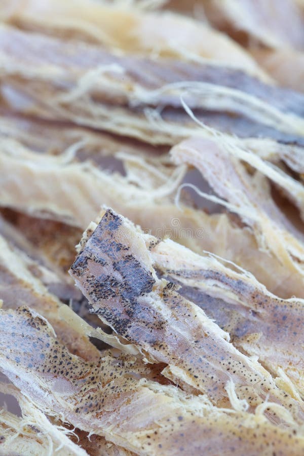 Dried squid stock photo. Image of city, animal, market 43637144