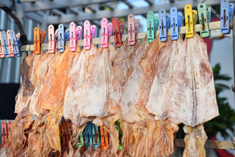 Dried Squid for Grill and Eat Stock Photo Image of heat, grill 64743976