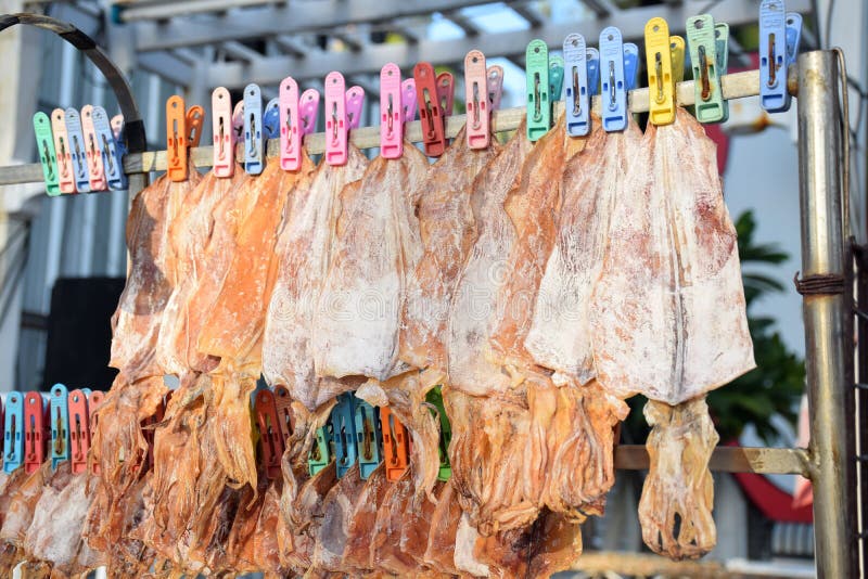 Dried Squid for Grill and Eat Stock Photo Image of squid, light 64743992
