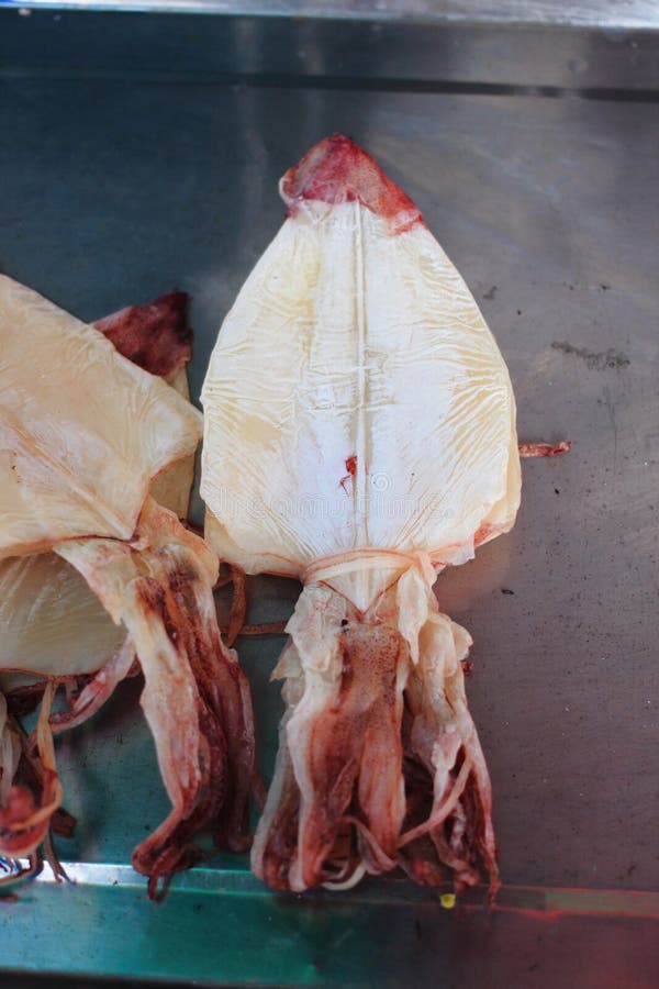 Dried squid stock image. Image of cuttlefish, seasoned 58439945