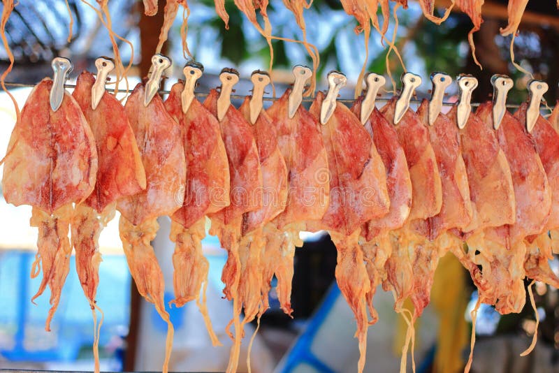 Dried squid stock photo. Image of squid, selling, market 64289210