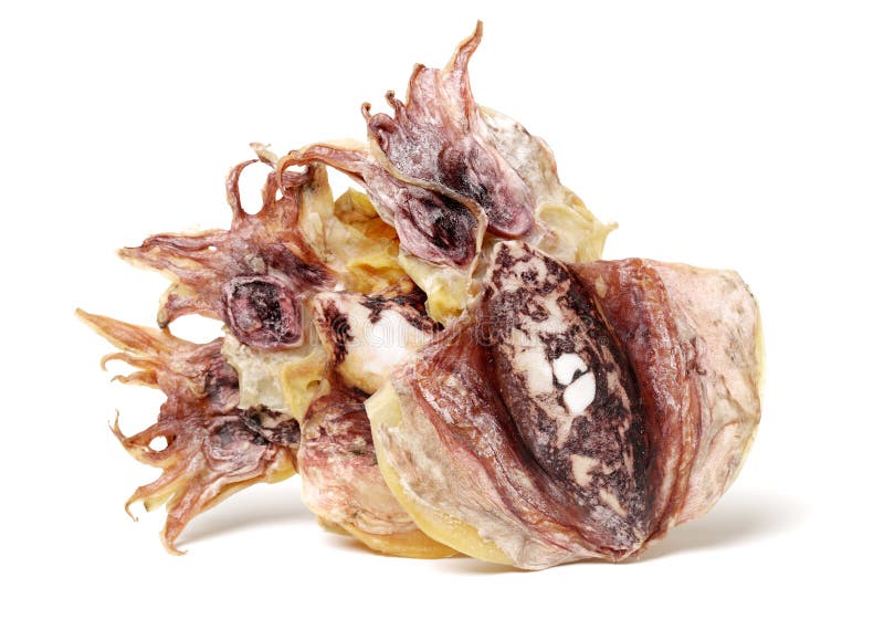 Dried Squid. Protein, Isolated. Stock Photo Image of food, horizontal