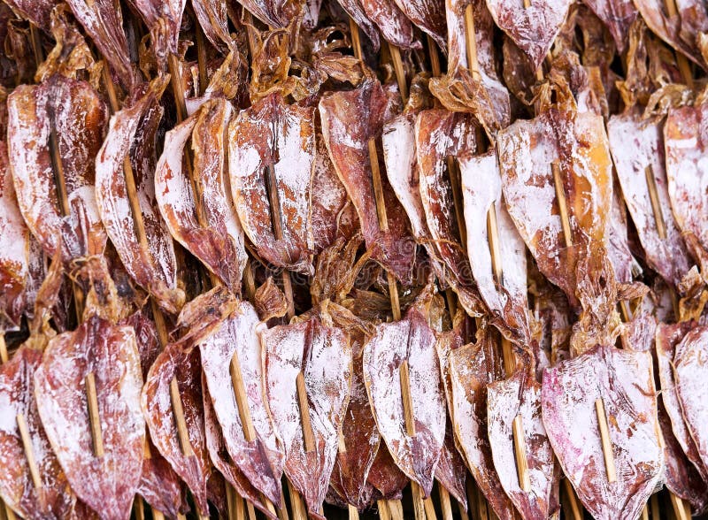 Dried squid stock image. Image of travel, market, meal 30441561