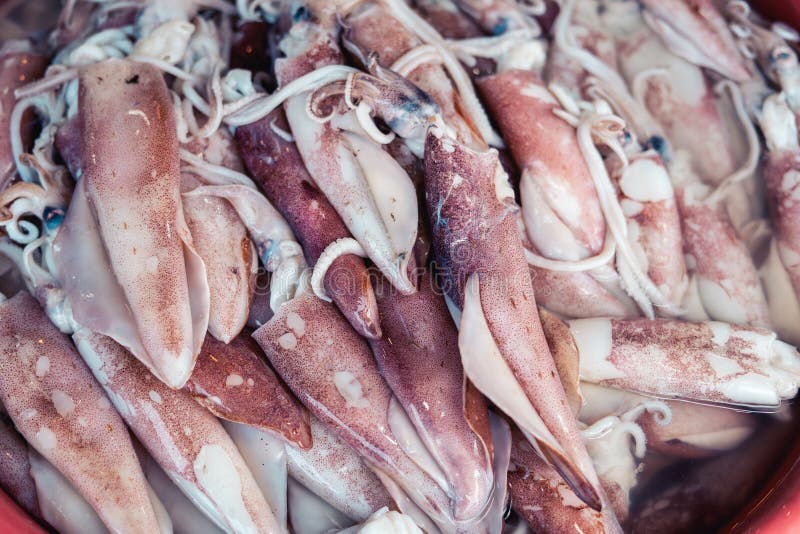 Dried Squid and Seafood Fish Market on the Island Seafood Stock Image Image of fresh, oysters