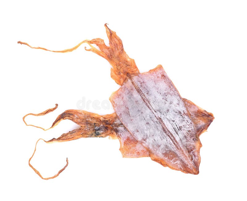 Dried Squid on White Background. Stock Image Image of isolated