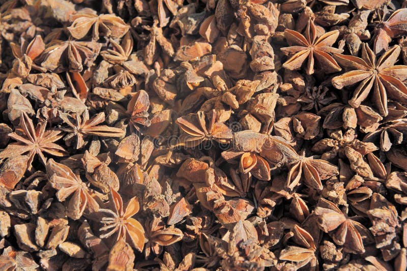 Dried star anise seed stock photo. Image of fruits, buying 34555218
