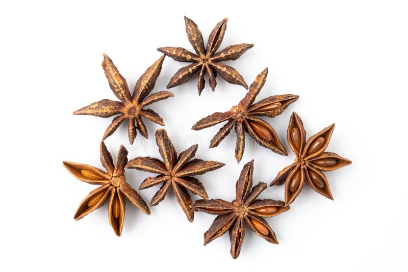 Dried Star Anise Spice Isolated on White Background Stock Photo Image of spice, condiment