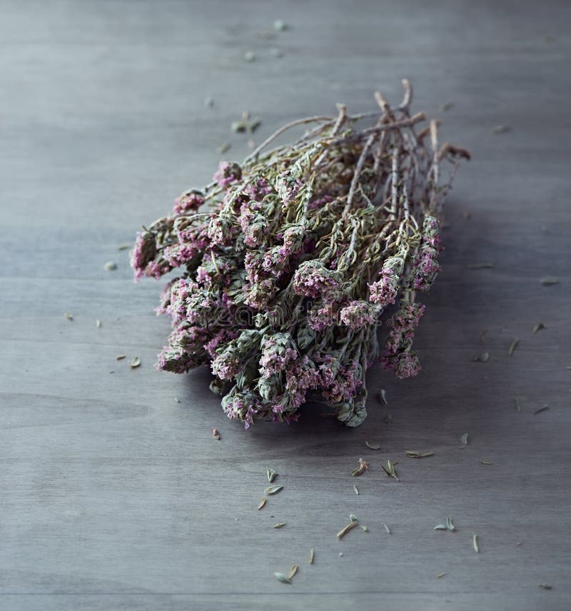 Dried Thyme stock image. Image of cooking, healthy, flowers 33342163