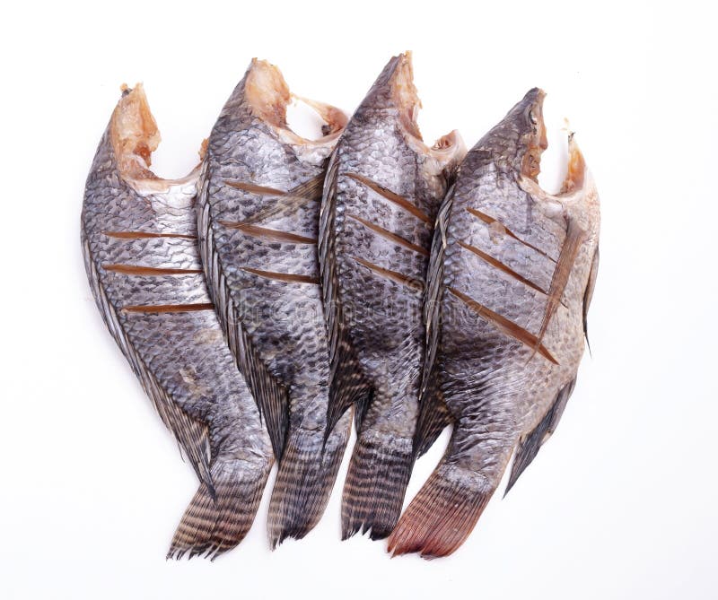 Dried Tilapia fish stock image. Image of closeup, outdoor 33999035
