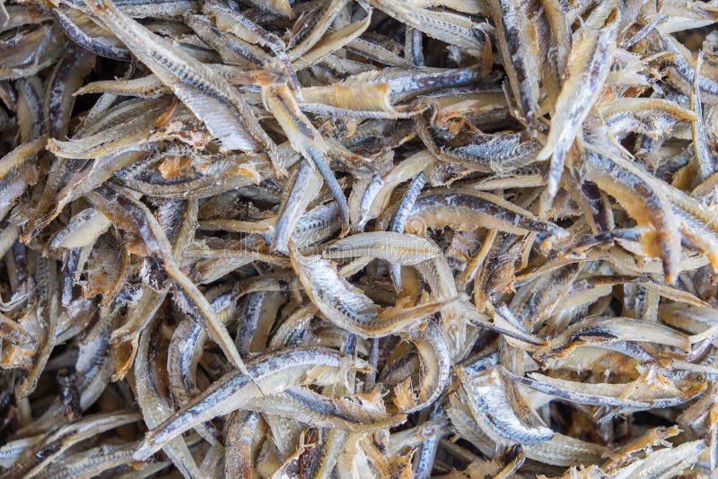 Dried tiny fish stock image. Image of seafood, market 52381881
