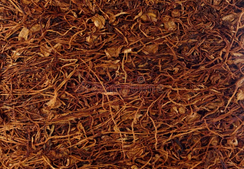 Dried Tobacco Isolated on a Background Stock Image Image of flavor