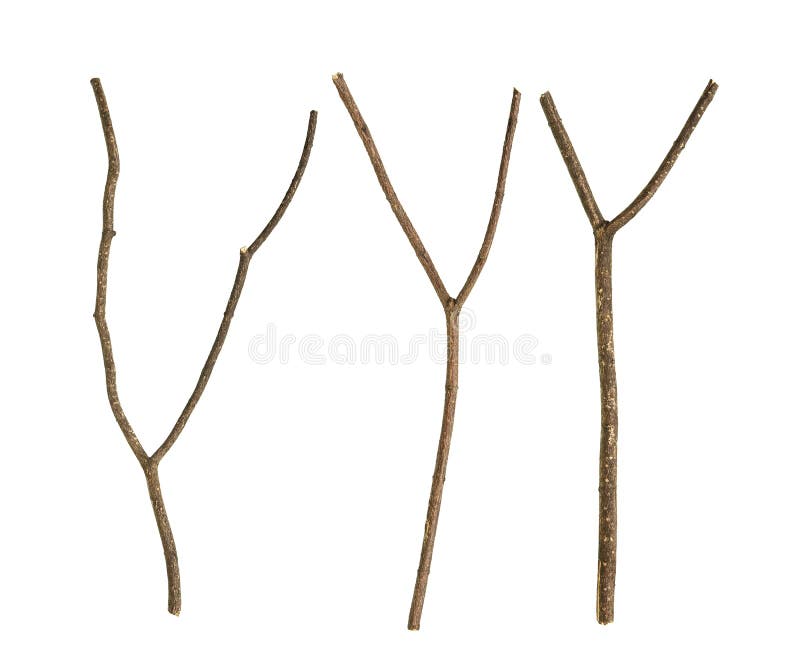 Twigs stock photo. Image of wooden, plant, brown, tree - 18966122
