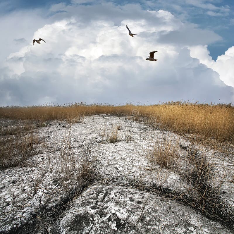 The dried up earth of old collieriy of Gorlovka