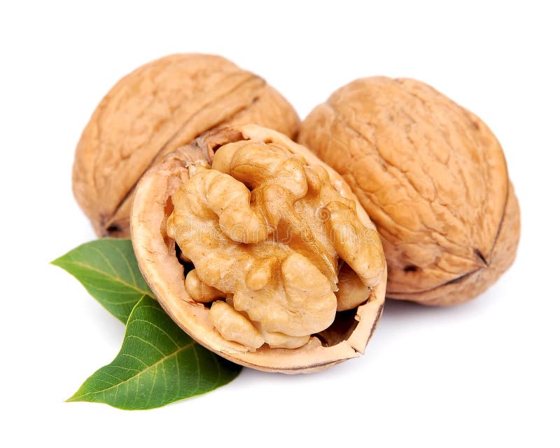 Dried walnuts