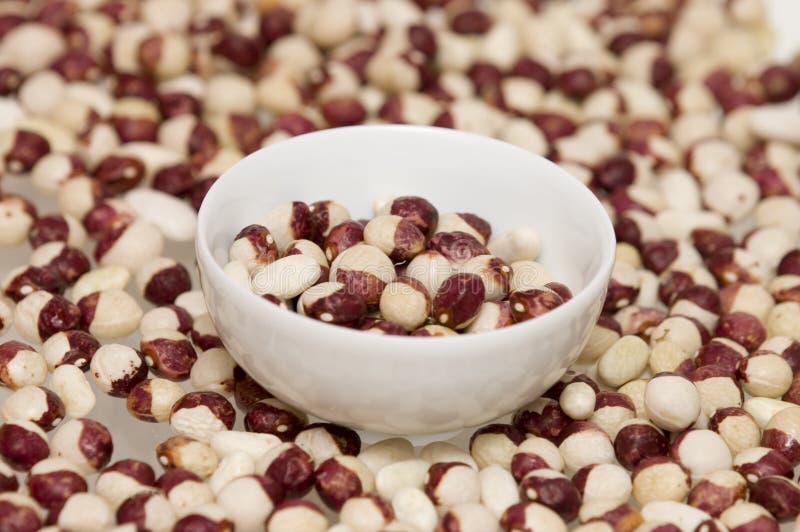 Dried whitebrown beans stock image. Image of food, bean 3434125