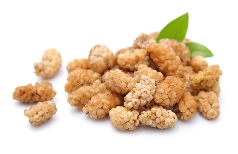 Dried white mulberry stock image
