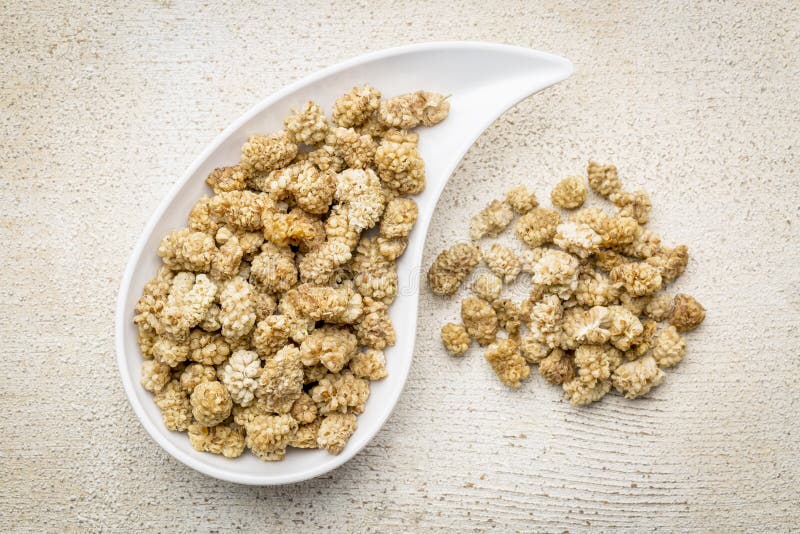 Dried white mulberry stock images