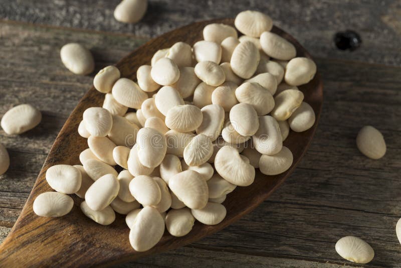 Dried White Organic Baby Lime Beans Stock Image Image of produce