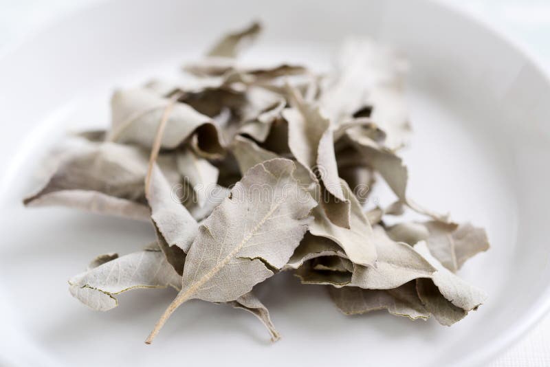 Dried white sage leaves stock photo. Image of ceremonial 112363382