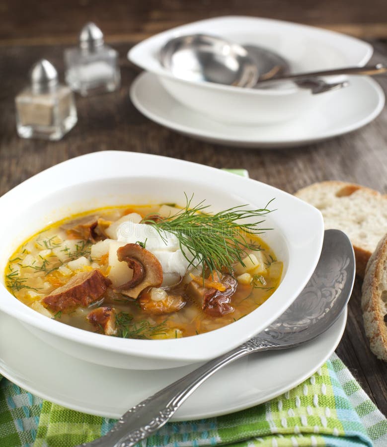 Dried Wild Mushroom and Potato Soup. Stock Image Image of healthy