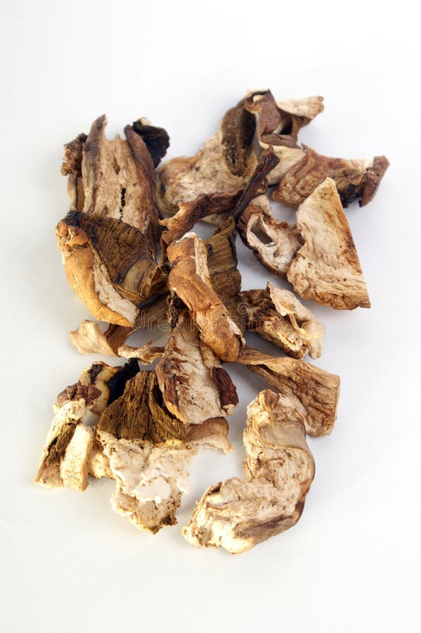 Dried Wild Organic Porcini Mushroom Stock Image Image of culinary