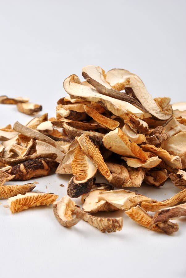 Dried Wild Organic Porcini Mushroom Stock Image Image of dried, tasty 12711227