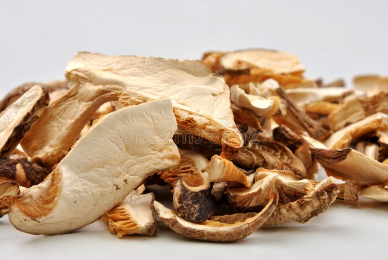 Dried Wild Organic Shiitake Mushroom Stock Photo Image of vegetable