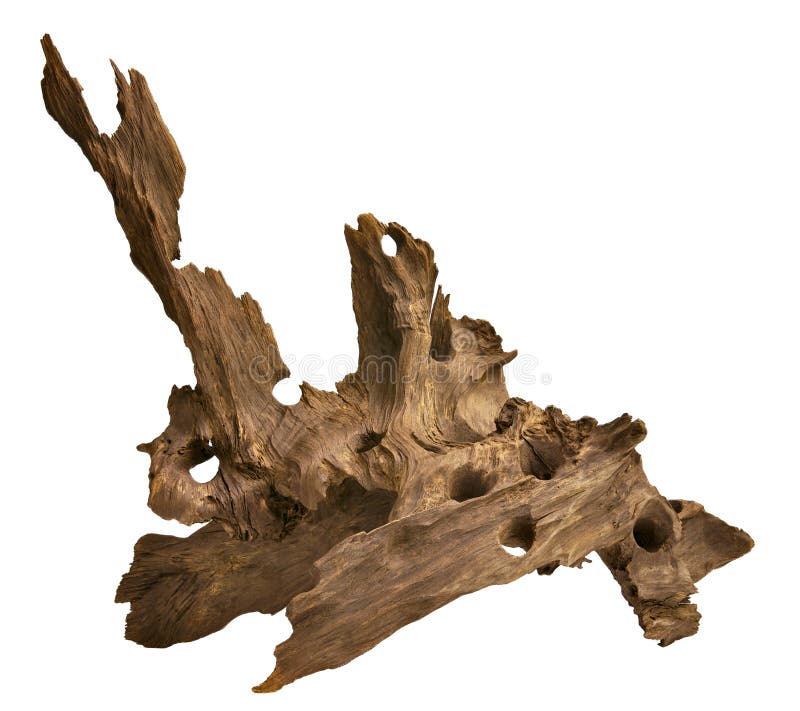 Driftwood for aquarium