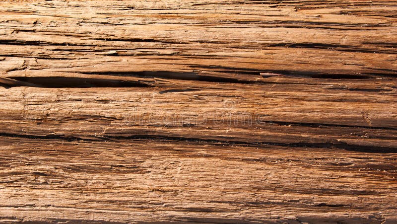 Driftwood Background