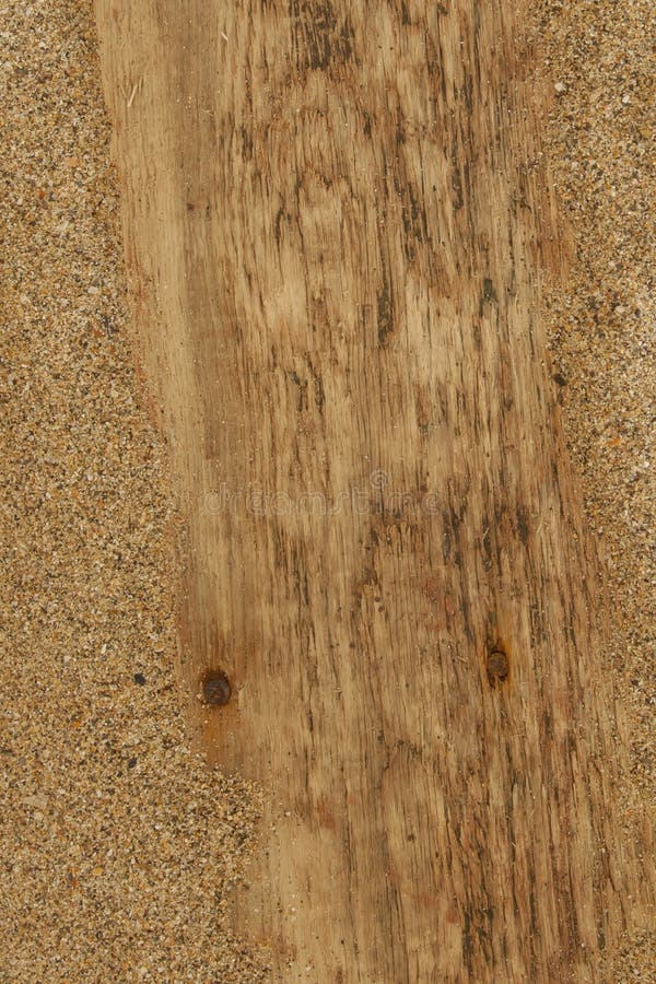 Driftwood Background Texture Abstract - wood in sand.