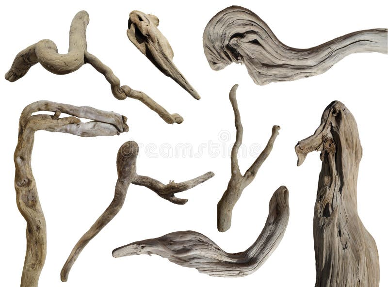 Driftwood isolated