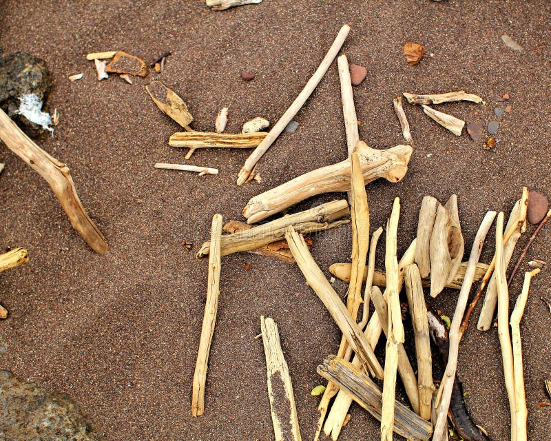 Driftwood stock photo. Image of minnesota, lake, great 58772934