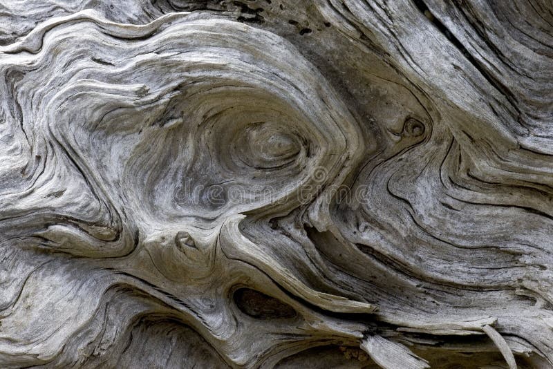 driftwood πρότυπα driftwood πρότυπα