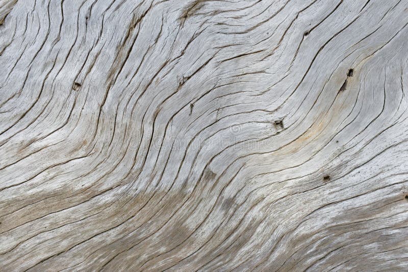 Driftwood σε μια παραλία στοκ εικόνες Driftwood σε μια παραλία στοκ εικόνες