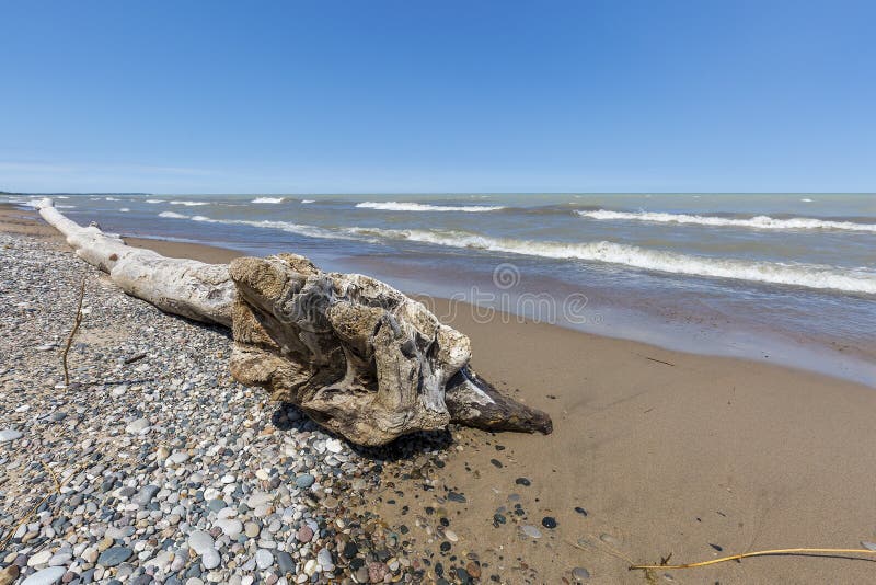 Driftwood и камешки на пляже Lake Huron - Онтарио, Канаде стоковые изображения